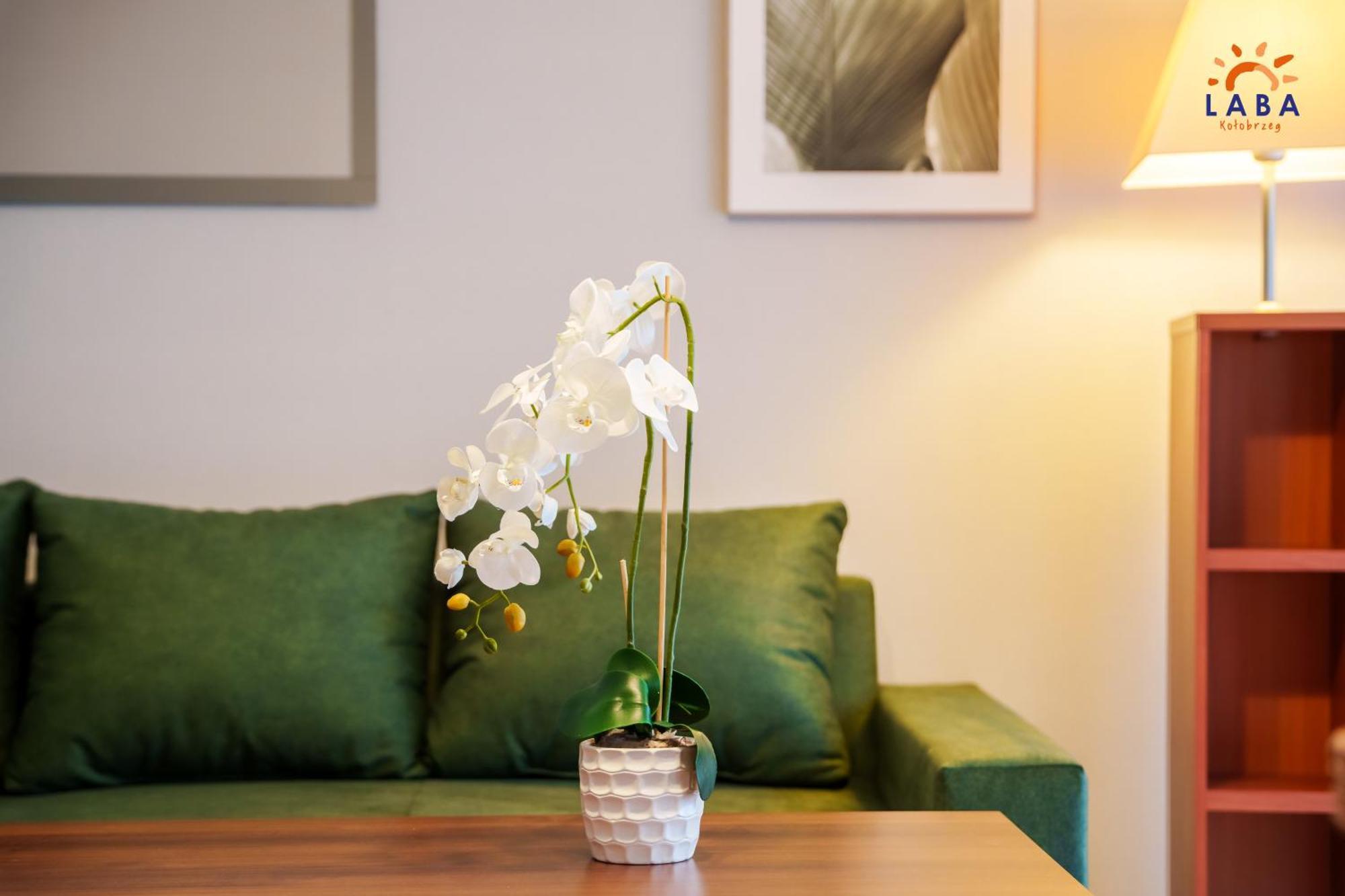 Laba Zielone Tarasy Apartment